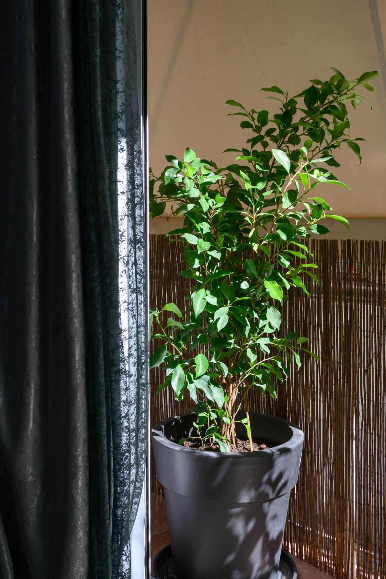 Koukaki Home アテネ エクステリア 写真